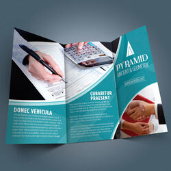 https://www.sswprinting.com/images/img_7054/products_gallery_images/large-flyer_brochure-2.jpg