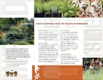 Landscape & Design Store Trifold