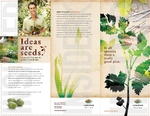 Landscape Design Trifold