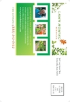 Lawn Mowing Service Postcard - 1
