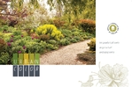 Urban Landscaping Postcard - 1