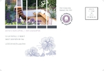 Urban Landscaping Postcard - 2