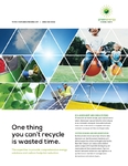 Green Energy Consultant Flyer - 1