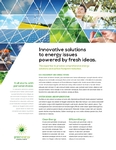 Green Energy Consultant Flyer - 3