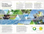 Green Energy Consultant Trifold