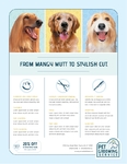 Pet Grooming Flyer