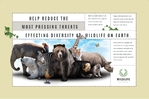 Nature & Wildlife Conservation Postcard - 1
