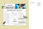 Nature & Wildlife Conservation Postcard - 1