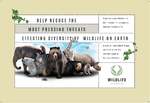 Nature & Wildlife Conservation Postcard - 2