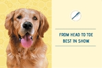 Pet Grooming - Postcard 2