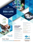 Ocean Aquarium - Flyer