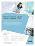 Global Network Services - Flyer