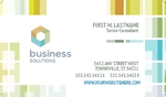 Business Solutions Consultant  - Business Card