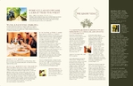 Vinyard & Winery - Brochure