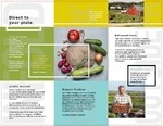 Organic Food - Trifold