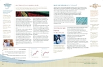 Investment Management - Newsletter