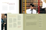 Lawyer & Law Firm - Brochure
