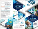Ocean Aquarium - Trifold