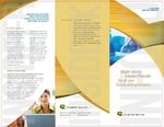 Computer Services & Consulting - Trifold