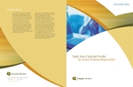 Computer Services & Consulting - Brochure
