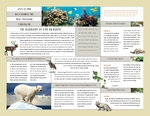 Nature & Wildlife Conservation - Trifold