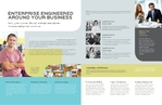 Small Business Consultant - Brochure