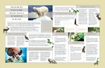 Nature & Wildlife Conservation - Brochure