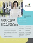 Small Business Consultant - Datasheet