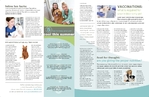 Vet Clinic  - Newsletter