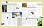 Nature & Wildlife Conservation - Newsletter