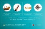 Pest Control - Postcard 1