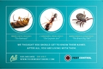 Pest Control - Postcard 2