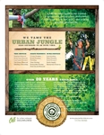 Tree Service - Flyer