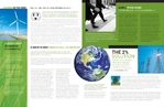 Environmental Non Profit - Newsletter