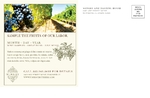Vinyard & Winery - Postcard 1