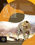 African Safari - Flyer