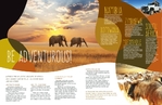 African Safari - Brochure