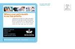Animal Hospital - Postcard 1