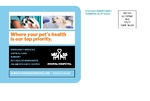 Animal Hospital - Postcard 2