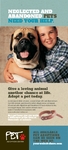 Animal Shelter & Pet Adoption - Rack Card