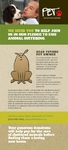 Animal Shelter & Pet Adoption - Rack Card