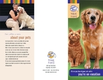 Dog Kennel & Pet Day Care - Trifold 