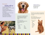 Dog Kennel & Pet Day Care - Trifold 