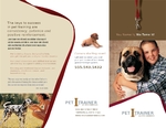 Pet Training & Dog Walking - Trifold 