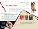 Pet Training & Dog Walking - Trifold 