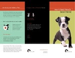 Veterinary Clinic - Trifold 