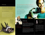 Veterinary Clinic - Trifold 