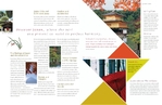 Japan Travel - Brochure