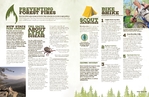 Nature Camping & Hiking - Newsletter